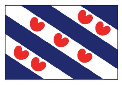 Talamex Talamex vlaggen Nederland: Provincievlag Friesland 70x100