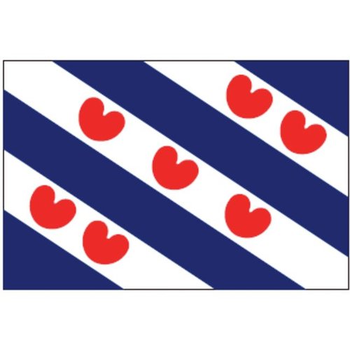  Talamex Talamex vlaggen Nederland: Provincievlag Friesland 200x300 