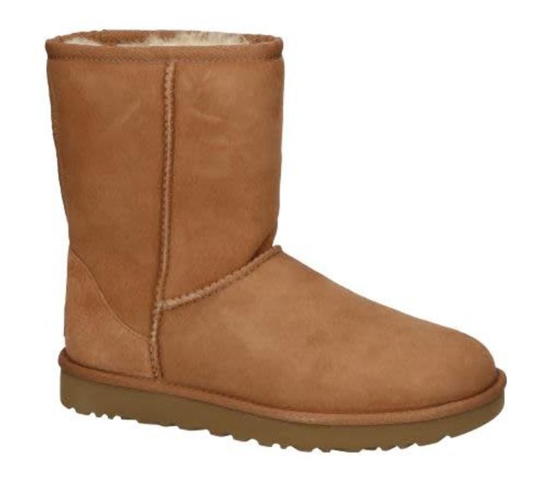 uggs classic short chestnut