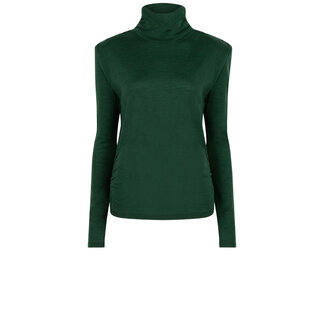 Laryn fancy turtle top