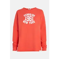 Sweater print coral white