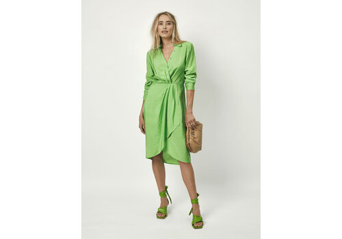 Dante6 Suka Midi Dress Green Flare