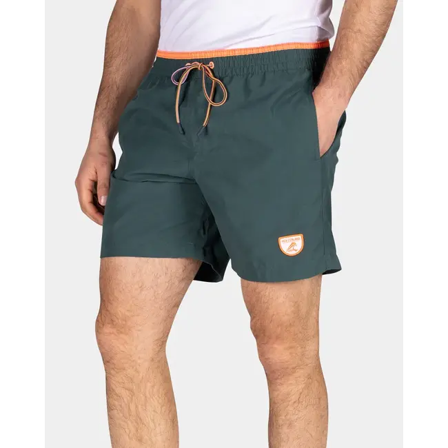 New Zealand Auckland Merlin CLASSIC GREEN