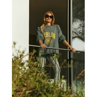 Deblon Vive Sweater Sage