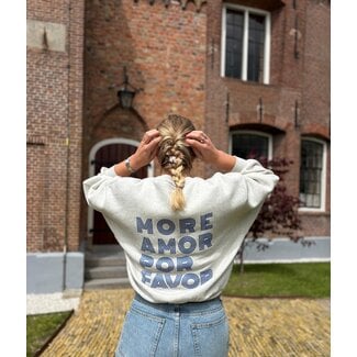 lili amor sweater light grey melee