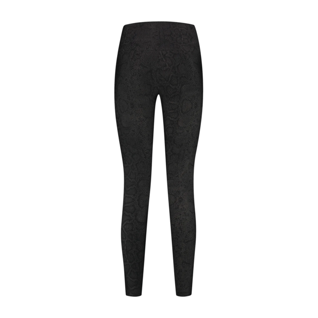 Deblon Classic Leggings High Waistband Sierra Dusk Brown