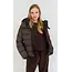 Moscow 14-08-Brandy Dark Brown Solid