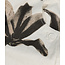 10Days western pants flower ecru
