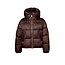 Beaumont BM02510263 - MARIAN jacket 2980 - dark chocolate