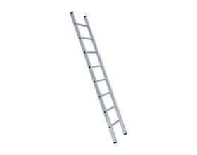 Eurostairs Ladder enkel recht 1x6 sporten