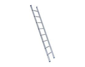 Eurostairs Ladder enkel recht 1x24 sporten