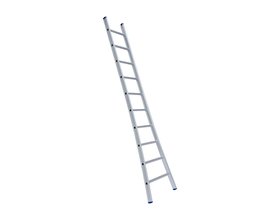 Eurostairs Ladder enkel uitgebogen 1x18 sporten