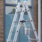 Ladderlimb Ladderlimb