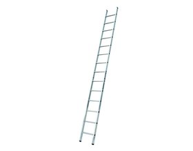 Euroline Ladder enkel recht 1x8 sporten