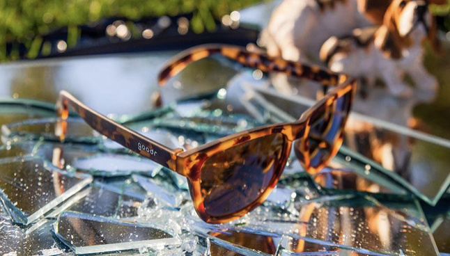 GOODR Sunglasses Bosley's Basset Hound Dreams