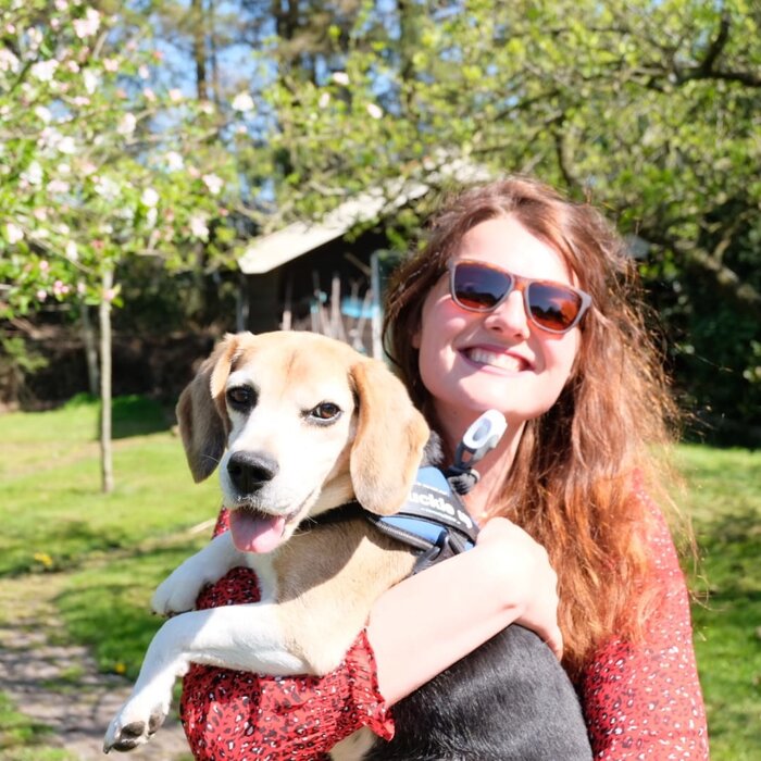 GOODR Sunglasses Bosley's Basset Hound Dreams