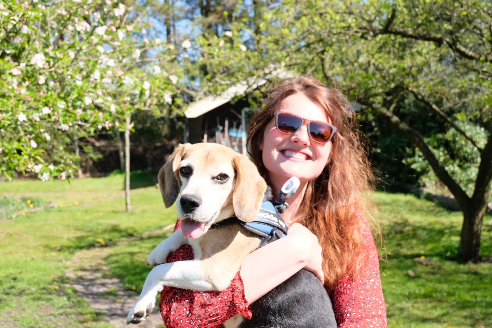 GOODR Sunglasses Bosley's Basset Hound Dreams