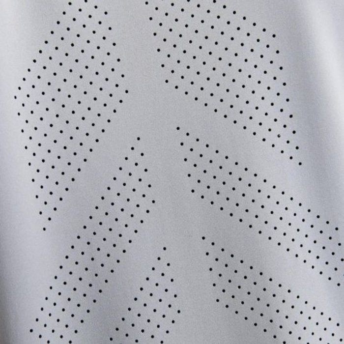 CRAFT Heren hardloopshirt korte mouw ADV Charge SS Tech Grijs