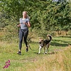 Trixie heupriem met aanlijnsysteem voor middelgrote en grote hond