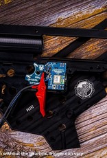 V2 optical to stock with black trigger