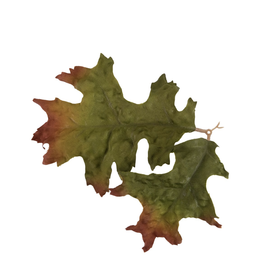 Novritsch Novritsch Leaf Camo – LC4 – Holz