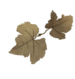 Novritsch Novritsch Leaf Camo – LC1 – Johannisbrot