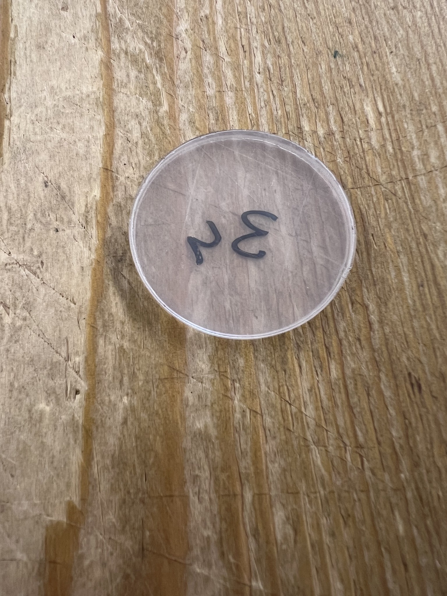 TAG-SHOP ® Camaleon rond Bescherm plaatje,