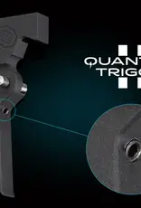 Gate Gate ASTER II Bluetooth® EXPERT for V2 GB + Adjustable Quantum Trigger 2 [AEG & HPA]