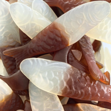 Red Band fish cola