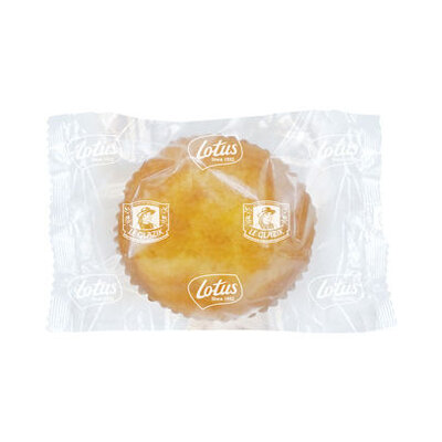 Lotus chocolate cake 38gr bestellen!