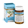 Arkocaps Boswellia (45 capsules)