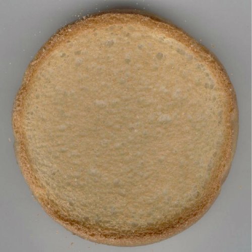 Glutenvrij beschuit