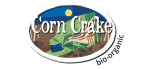 Corn Crake