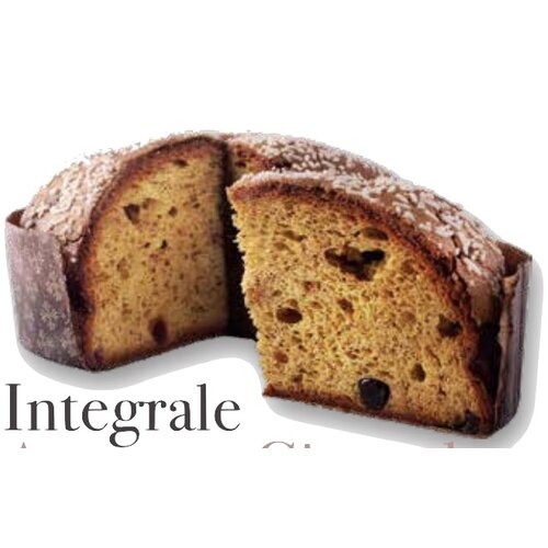 Pasticceria Cuneo Ambachtelijke Panettone Amarena Cioccolato 500 gram - Glutenvrij