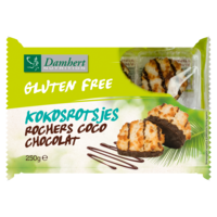 Chocolade Kokosrotsjes 6 Stuks - Glutenvrij