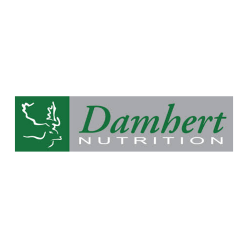 Damhert