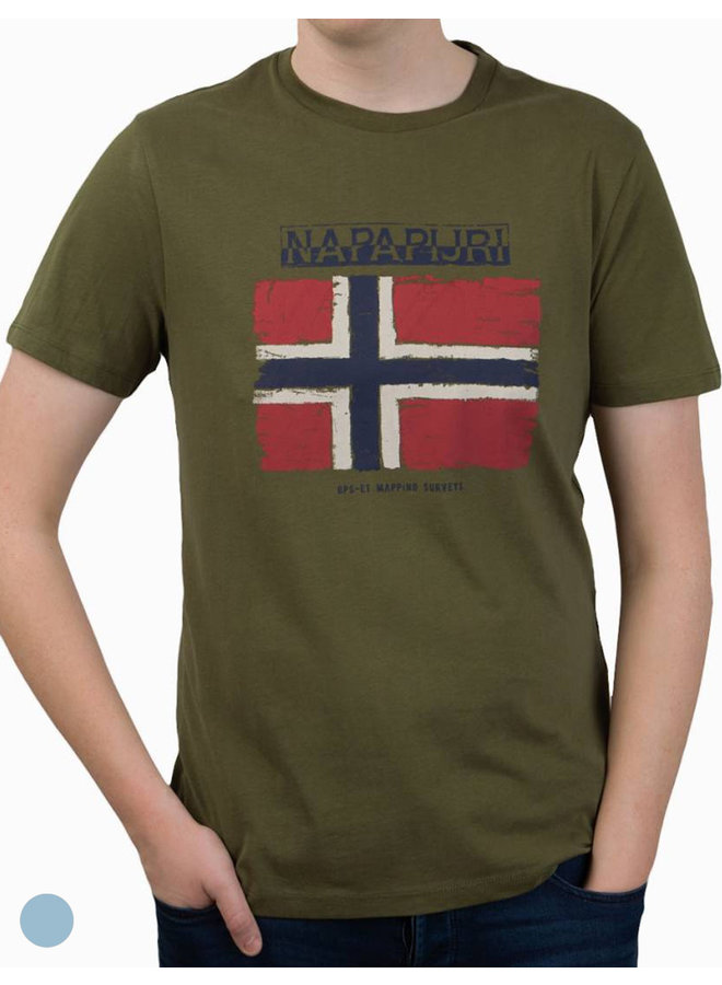 Napapijri ® Kurzarm T-Shirt, Flag