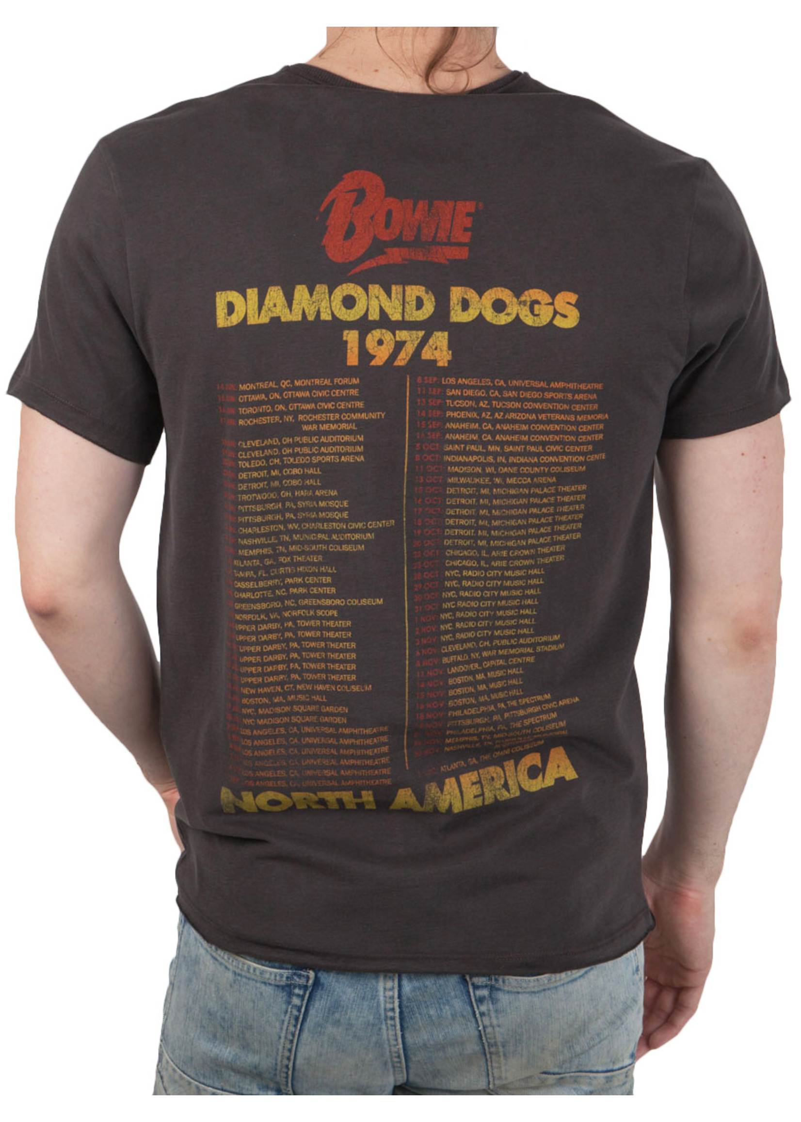 Amplified ® T-shirt Bowie