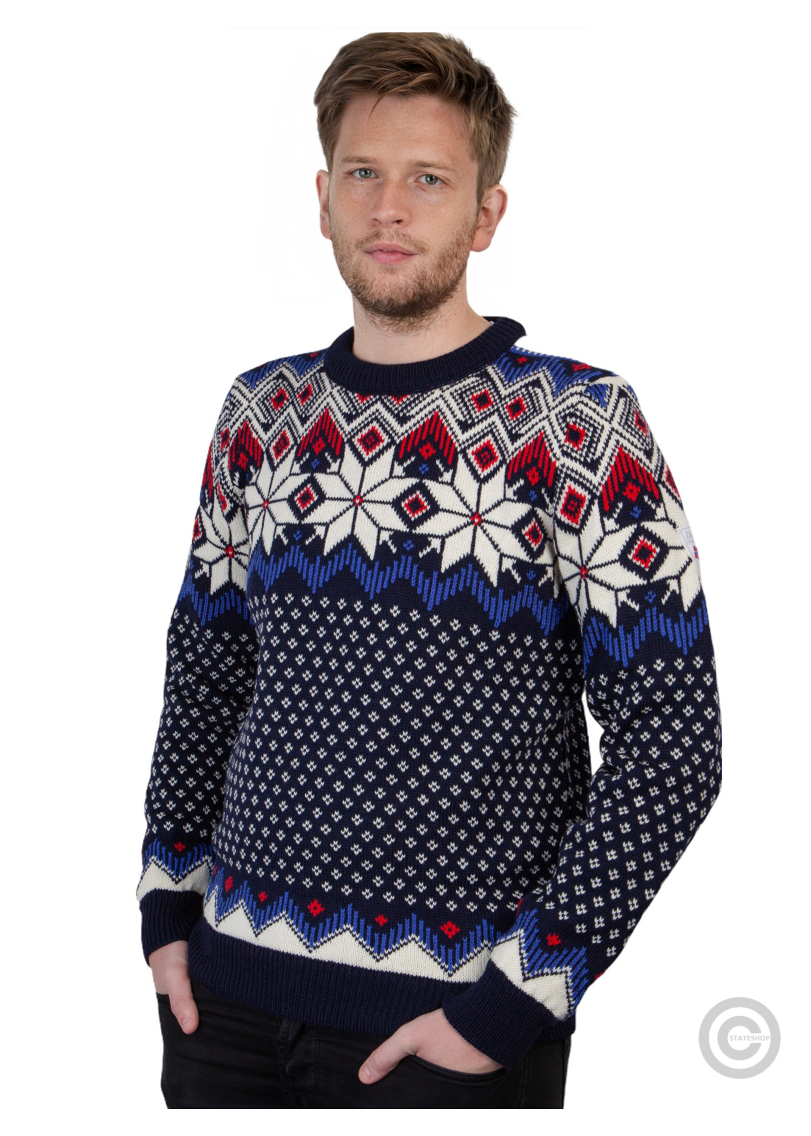 Dale of Norway Dale of Norway ® Pullover Vegard