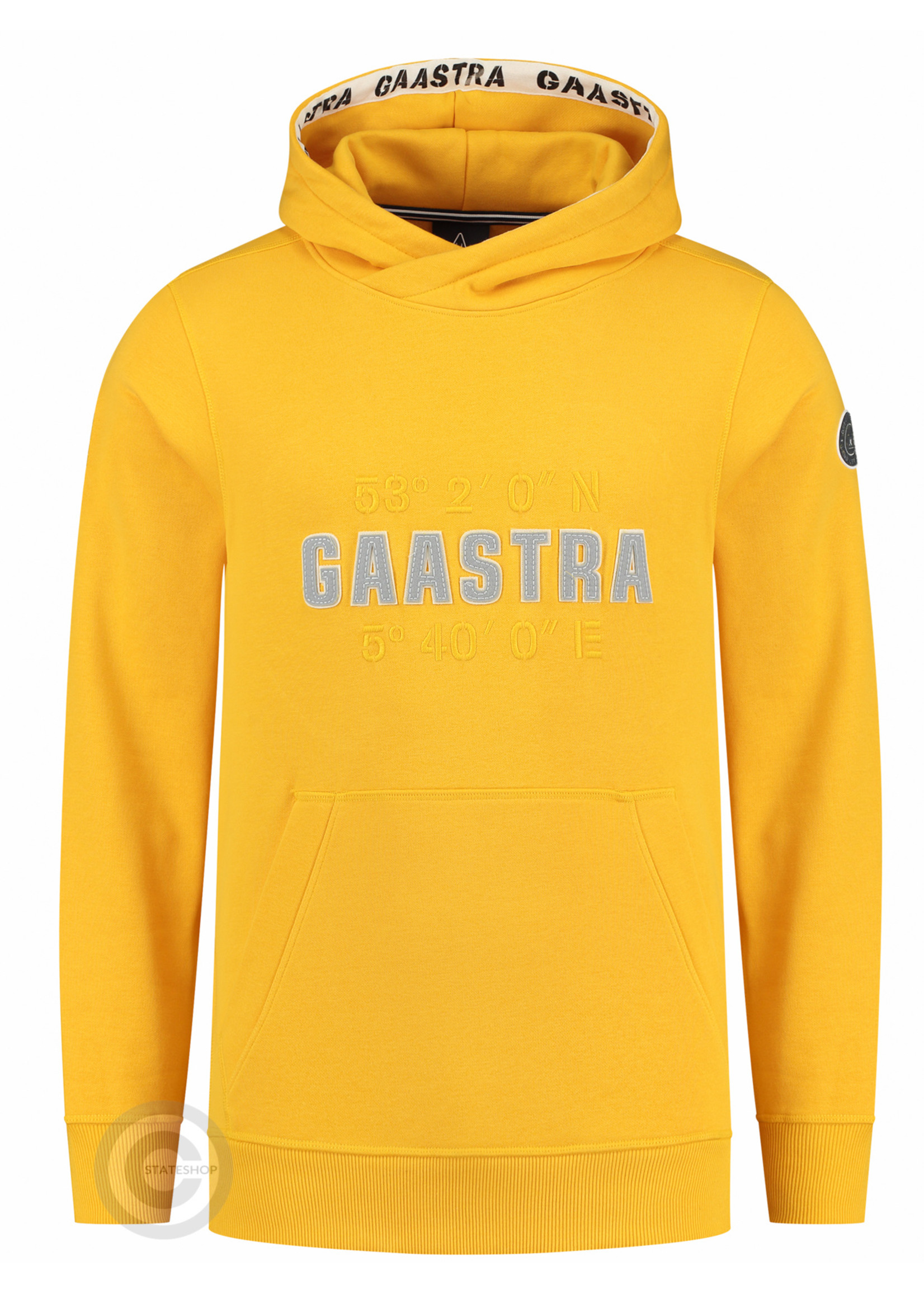 Gaastra Gaastra heren hoodie sweater "Artic", geel