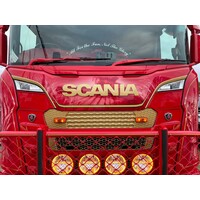 Scania Scania Next Gen Abdeckgitter