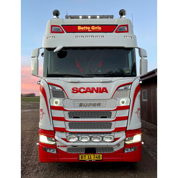 Sonnenblende type 2D alte Lampen Scania Next Generation