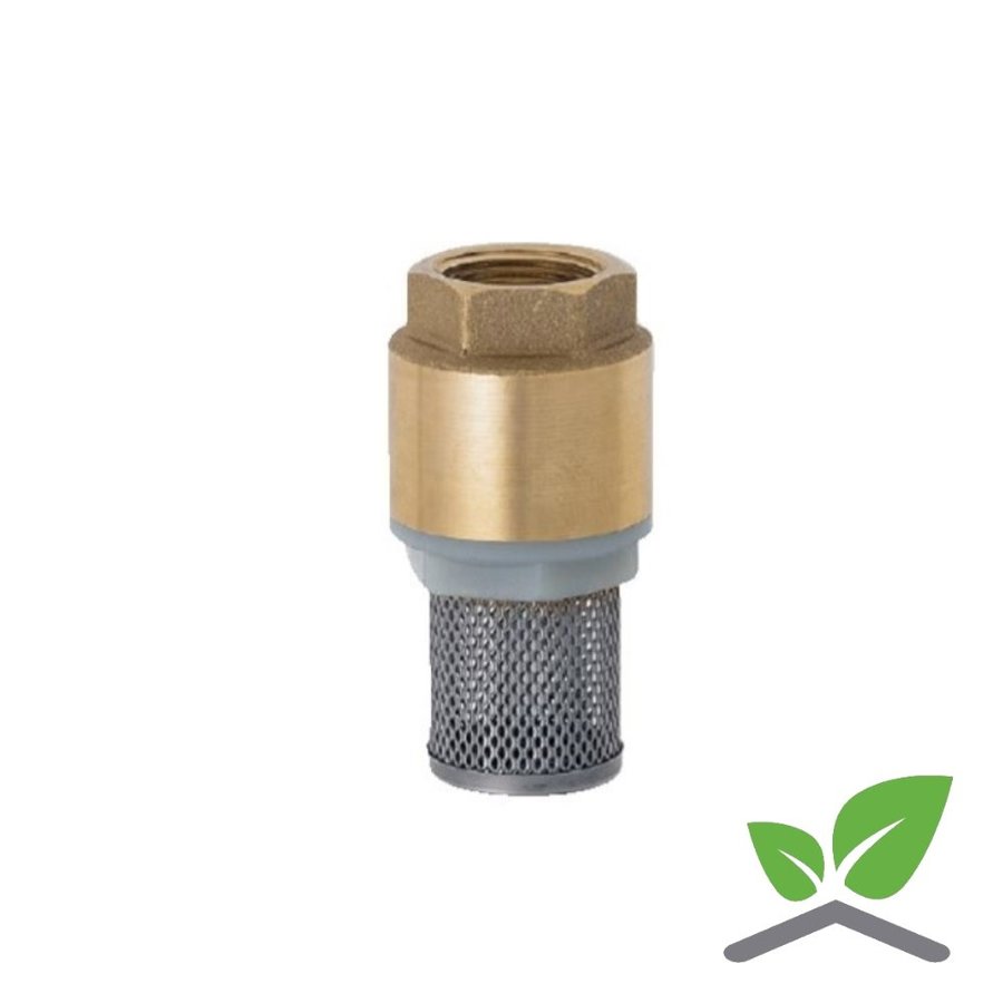 Foot valve with strainer female 1/2"- 2"-2
