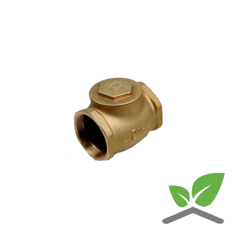 Check valve 60 Horizontal  3/8" – 2"-1