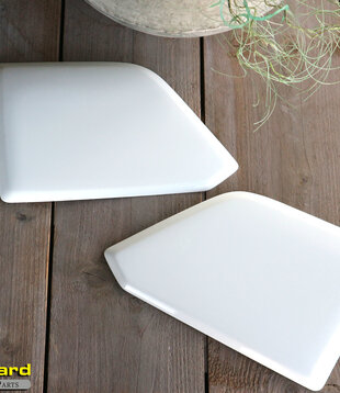 Cache des phares Sky de Next Generation de Scania