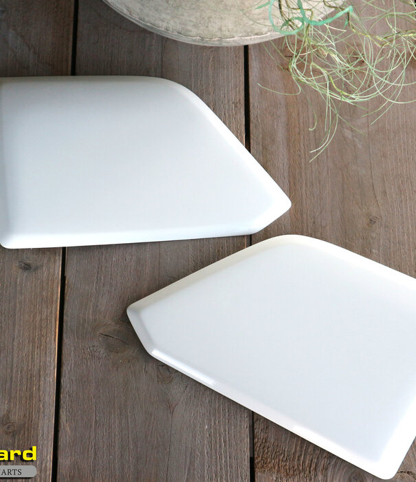 Scania Scania Next Generation Sky Light Cover (couverture des phares)