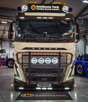 Volvo FH4/4B (5) Pare-soleil complet de type 3 Colisión frontal