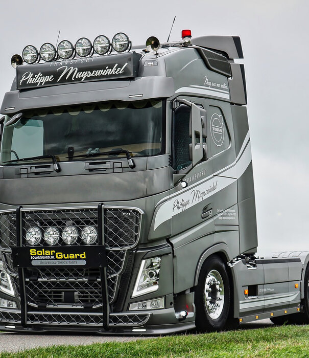 Volvo Volvo FH4/4B (5) Pare-soleil complet Type 3 FWC