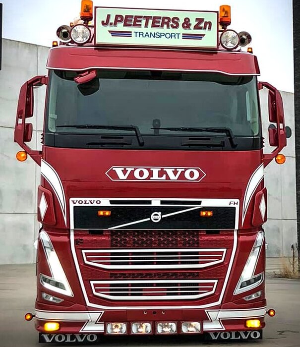 Volvo Volvo FH4/4B (5) Pare-soleil complet Colisión frontal