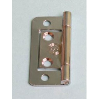 Scharnier vlak 50 mm kleur chroom á 2 st